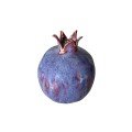 Ceramic Purple 
Pomegranate